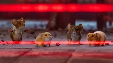 Mắc Bẫy Lũ Tí Quậy