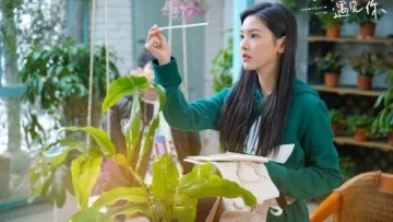 Ai Cũng Khao Khát Được Gặp Em
