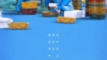 Hương Vị Của Biển (Phần 3)