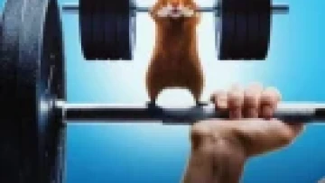 Con Người Đấu Với Hamster