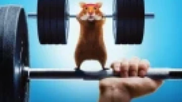 Con Người Đấu Với Hamster