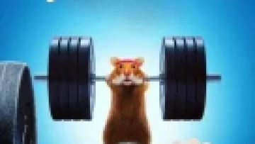 Con Người Đấu Với Hamster