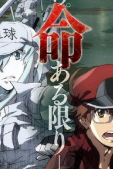 Cells at Work! BLACK
