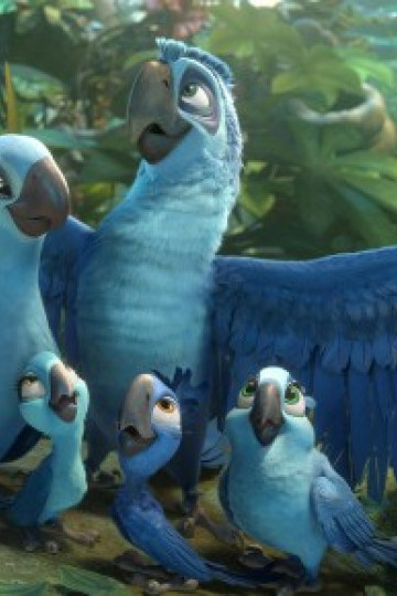 Chú Vẹt Rio 2