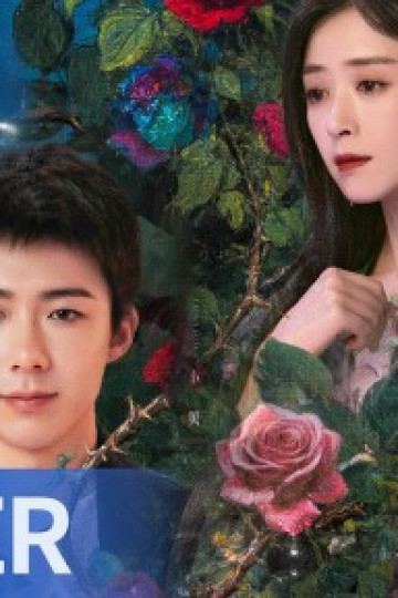 Bụi Hoa Hồng