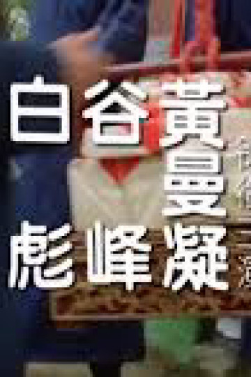Thiếu Niên Tô Khất Nhi