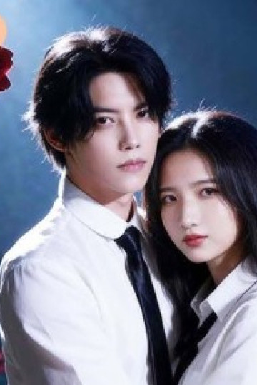 Cảm Giác Khi Rung Động Là Đây