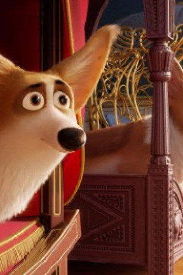 Corgi: Những chú chó hoàng gia