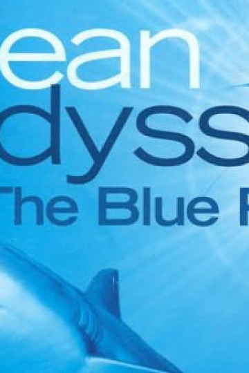 Ocean Odyssey: The Blue Realm