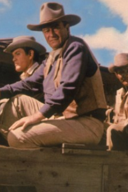 The Sons of Katie Elder