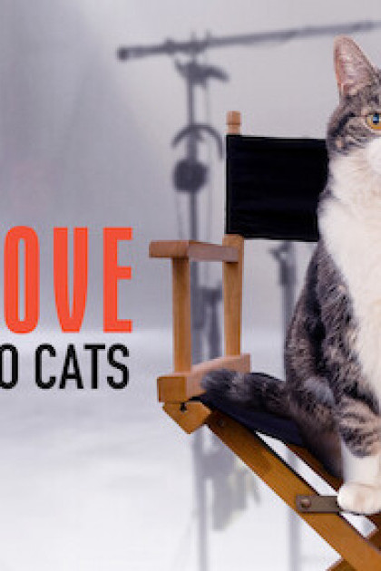 Kitty Love: Mèo cưng nhà mình