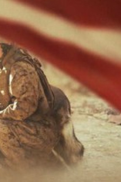 Hạ Sĩ Megan Leavey