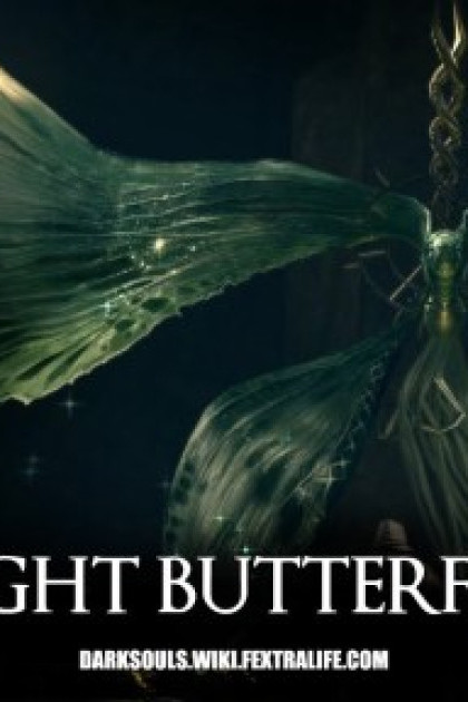 Moonlight Butterfly