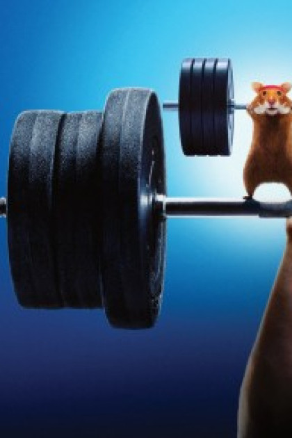 Con Người Đấu Với Hamster