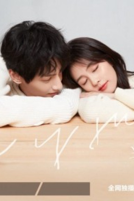 Nửa Là Đường Mật, Nửa Đau Thương