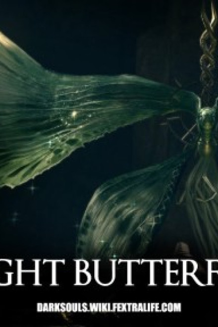 Moonlight Butterfly
