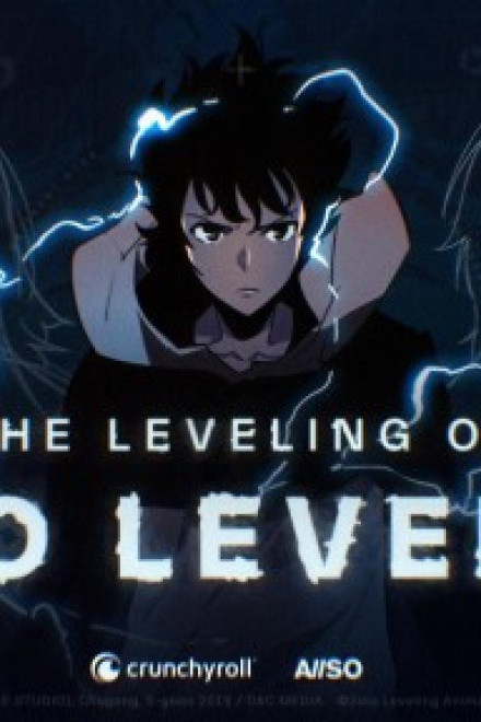 THE LEVELING OF SOLO LEVELING