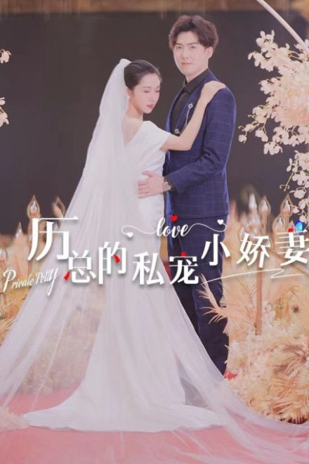 Cô Vợ Nhỏ Được Cưng Chiều Của Tổng Giám Đốc Lệ